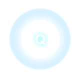LaQ