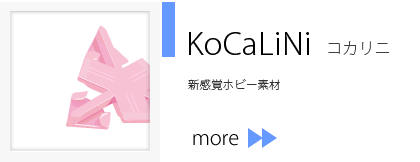 KoCaLiNi コカリニ